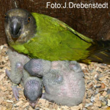 Foto: Jens Drebenstedt