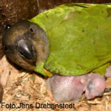 Foto: Jens Drebenstedt