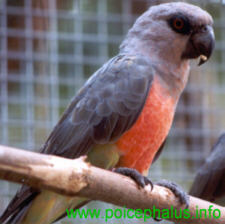 Foto: Jens Drebenstedt