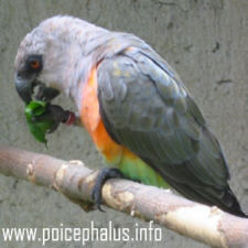 Foto: Jens Drebenstedt