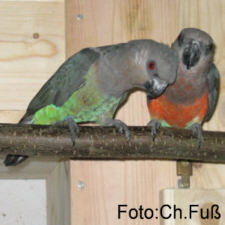 Foto: Christian Fu&szlig;