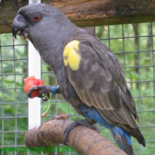 Foto: Jens Drebenstedt