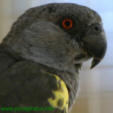 Foto: Jens Drebenstedt